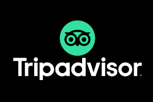 Loop VR Space on Trip Advisor